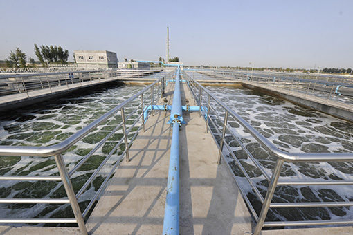 ��������VI-��Ʒ��ֵ������!