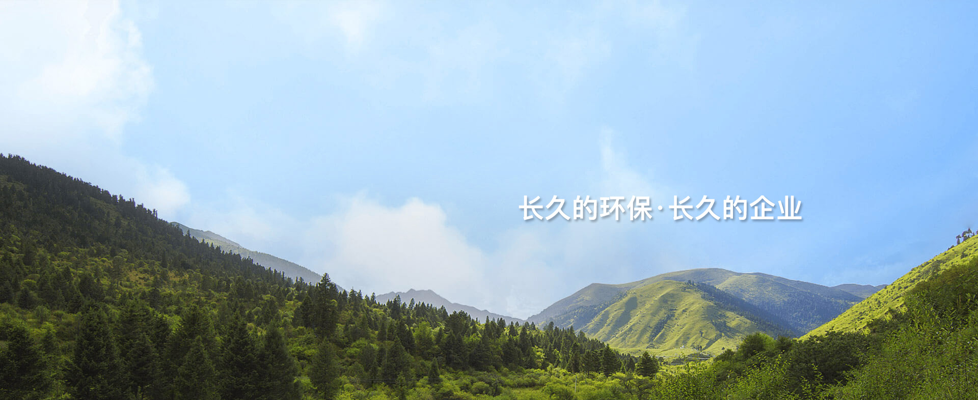 ��������VI-��Ʒ��ֵ������!