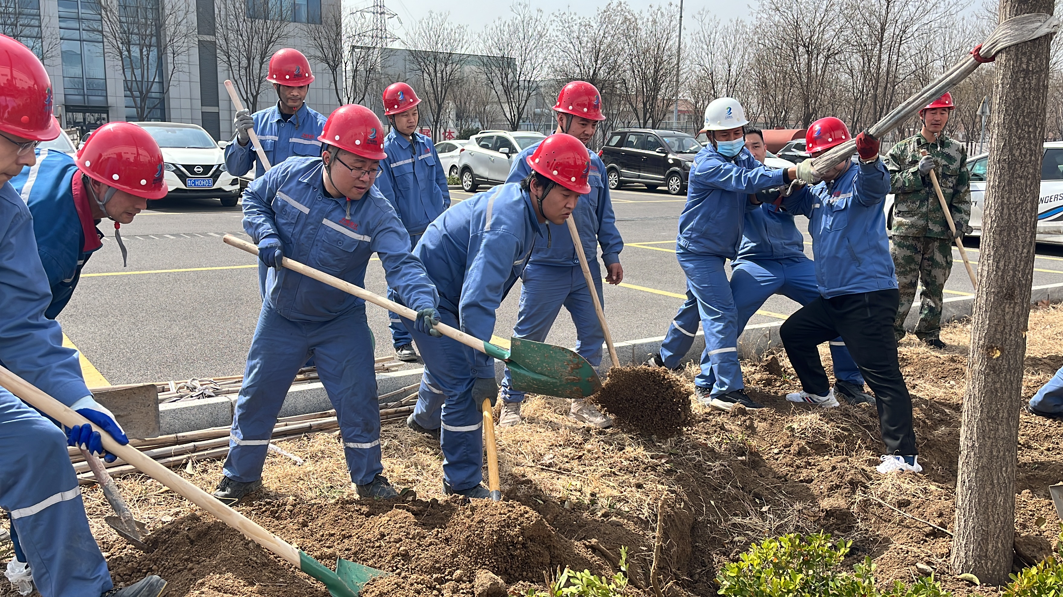 2025��3��12��ֲ���ڸɲ�ְ�����Թ�����Ů�����ľ145��